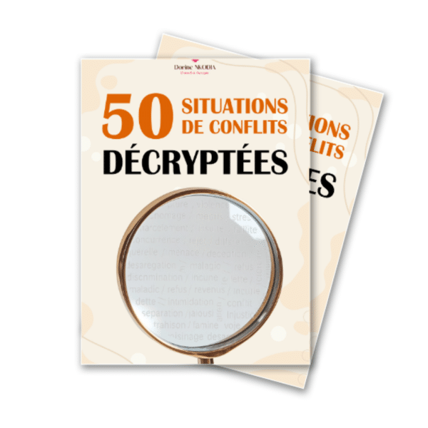 livre pour décrypter les conflits